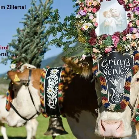 ألبينليفينغ.تيرول * Aschau Im Zillertal